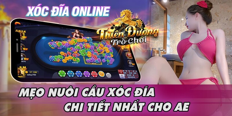 Cách nuôi cầu Xóc Đĩa hiệu quả dành cho người mới 3 Tổng hợp những cách nuôi cầu Xóc Đĩa hay