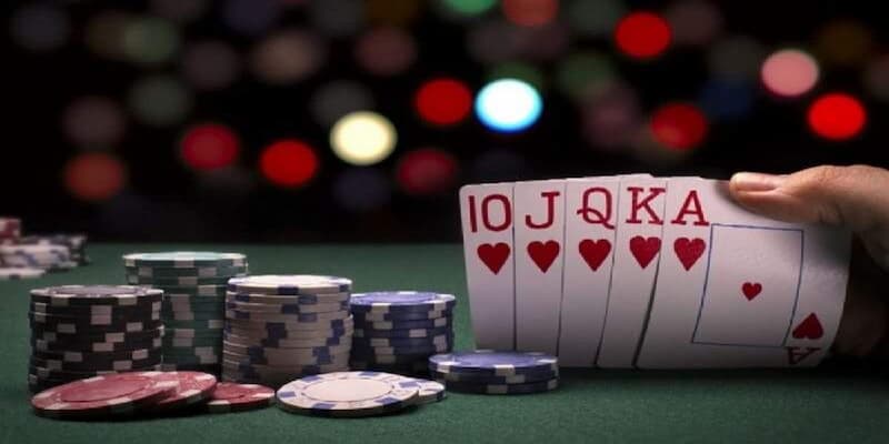 Thông tin thú vị về sâm lốc - Siêu phẩm triệu đô nhà Xóc Đĩa 1 sam loc 3